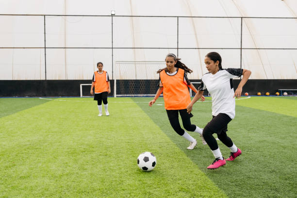 送入网中 送入网中